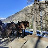 12_04 05 Marzo Tirano Trenino del Bernina asd sciclubcastelmella